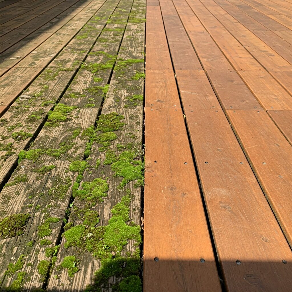 Backyard patio design mistakes that must be avoided